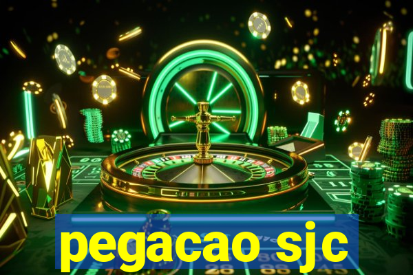 pegacao sjc